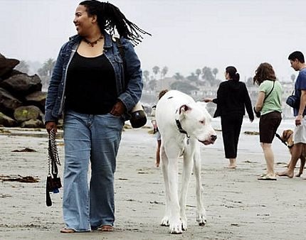 Những kỷ lục thế giới thú vị về chiều cao - 9 Những kỷ lục thế giới thú vị về chiều cao - 9