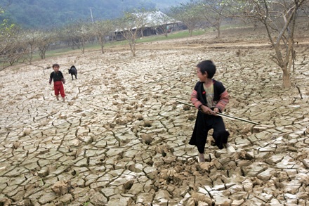 Hội nghị môi trường thế giới, giật mình nhìn Việt Nam - 13 Hội nghị môi trường thế giới, giật mình nhìn Việt Nam - 13