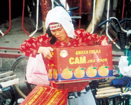 Hàng trốn kiểm dịch rình “đổ bộ” qua biên giới - 1