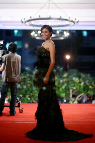 Rộn ràng lễ khai mạc LHP Việt Nam lần thứ 16 - 8