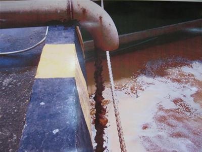 Vedan là thủ phạm chính gây ô nhiễm sông Thị Vải - 1 Vedan là thủ phạm chính gây ô nhiễm sông Thị Vải - 1