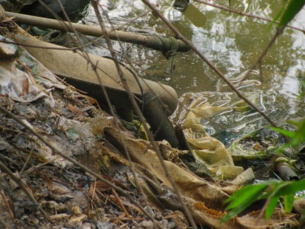 Hãi hùng khám phá kho chứa hàng chục tấn mỡ thối - 5 Hãi hùng khám phá kho chứa hàng chục tấn mỡ thối - 5