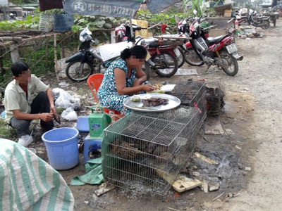 Động vật quý hiếm được bán công khai làm… món nhậu - 1 Động vật quý hiếm được bán công khai làm… món nhậu - 1