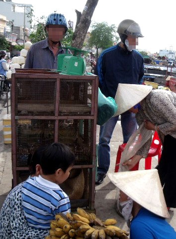 Động vật quý hiếm được bán công khai làm… món nhậu - 3 Động vật quý hiếm được bán công khai làm… món nhậu - 3