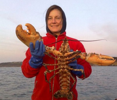 Con tôm khổng lồ dài gần 1 mét - 1