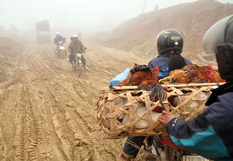 Sa Pa trong giá lạnh 4,2 độ C - 7 Sa Pa trong giá lạnh 4,2 độ C - 7