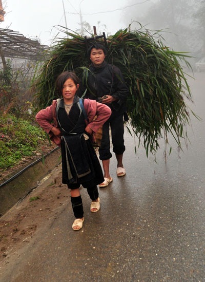 Sa Pa trong giá lạnh 4,2 độ C - 8 Sa Pa trong giá lạnh 4,2 độ C - 8