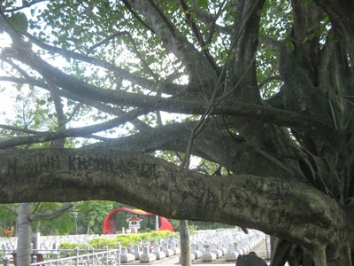 Hãy giữ vẻ trang nghiêm cho Nghĩa trang Trường Sơn - 1