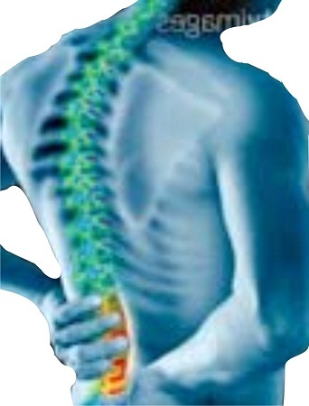 Đừng để cột sống mọc… gai - 1 Đừng để cột sống mọc… gai - 1