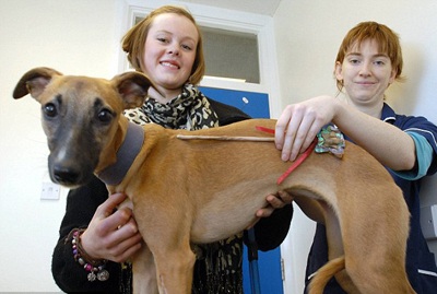 Nuốt thanh sắt dài nửa mét vào bụng - 1 Nuốt thanh sắt dài nửa mét vào bụng - 1