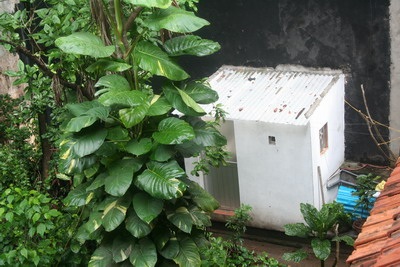 Chủ tịch TP Hà Nội kiên quyết xử lý vụ “đục” nhà vườn cổ  - 2