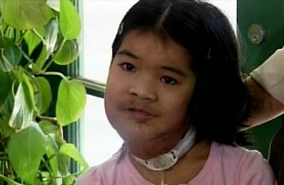 Những bệnh lạ ở châu Á trong thập kỷ qua - 8