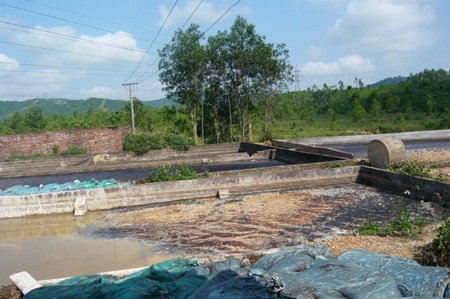 Dân hò nhau đào đường phản đối nhà máy gây ô nhiễm môi trường - 10