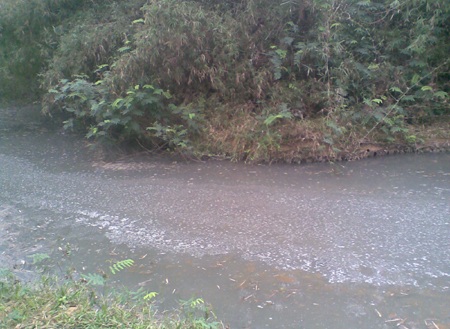 Dân hò nhau đào đường phản đối nhà máy gây ô nhiễm môi trường - 4