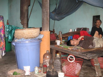 Cả đời chỉ mơ ước có một đàn gà - 1