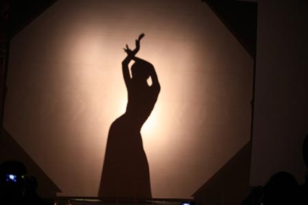 Sôi động đêm diễn Belly dance vì trẻ em có HIV - 2