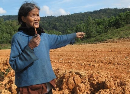 Hủy trồng keo, hiến đất xây trường - 2 Hủy trồng keo, hiến đất xây trường - 2