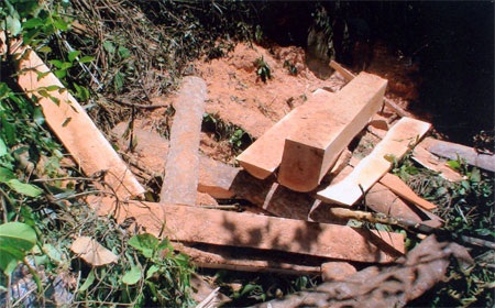 Tình trạng chống người thi hành công vụ “nở rộ” trong năm 2009 - 4