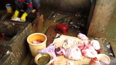 Vào lò mổ Phùng Khoang, sợ cháo lòng tiết canh - 1 Vào lò mổ Phùng Khoang, sợ cháo lòng tiết canh - 1
