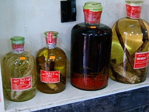 Đôi điều cần biết về rượu thuốc - 1 Đôi điều cần biết về rượu thuốc - 1