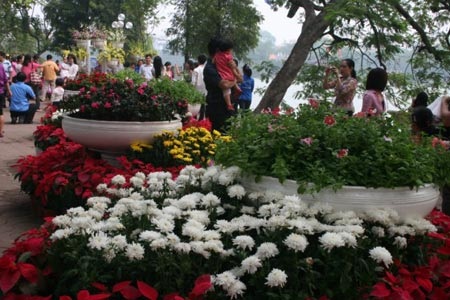 Háo hức đợi chờ Lễ hội hoa Hà Nội 2010 - 4