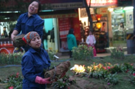 Háo hức đợi chờ Lễ hội hoa Hà Nội 2010 - 3