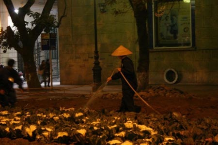 Háo hức đợi chờ Lễ hội hoa Hà Nội 2010 - 1