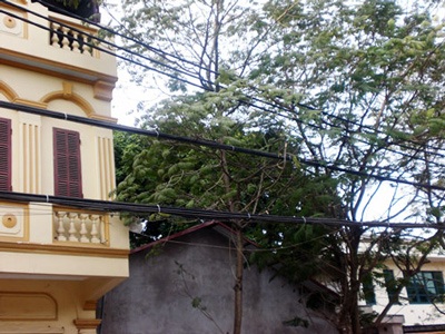 Gặp người nhện giữa thủ đô - 7