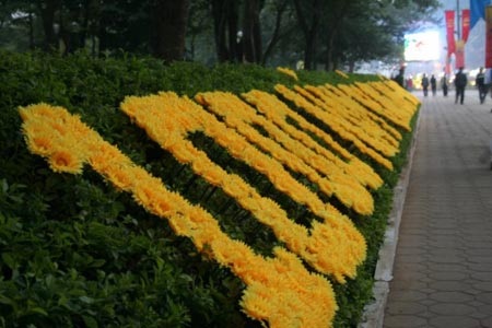 Háo hức đợi chờ Lễ hội hoa Hà Nội 2010 - 7