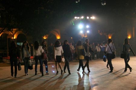 Háo hức đợi chờ Lễ hội hoa Hà Nội 2010 - 5