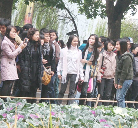 Những góc “nhiễu” tại lễ hội hoa Hà Nội - 8