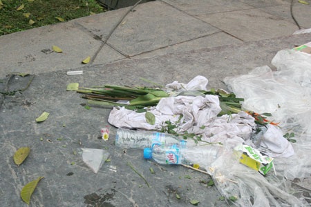 Những góc “nhiễu” tại lễ hội hoa Hà Nội - 14