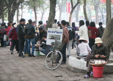 Những góc “nhiễu” tại lễ hội hoa Hà Nội - 15