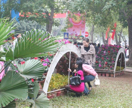 Những góc “nhiễu” tại lễ hội hoa Hà Nội - 10