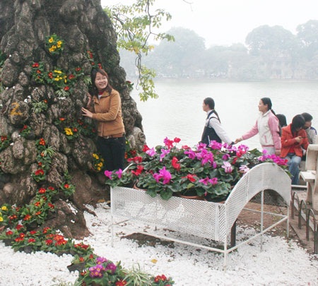 Những góc “nhiễu” tại lễ hội hoa Hà Nội - 9
