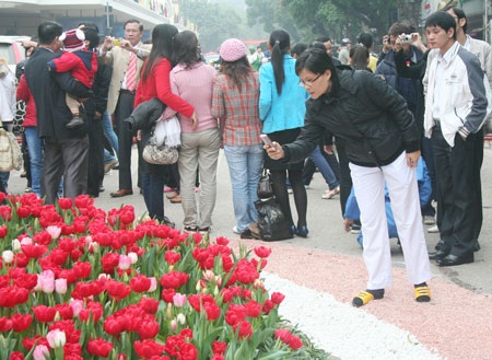 Những góc “nhiễu” tại lễ hội hoa Hà Nội - 7