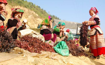Thăm nơi đầu nguồn sông Chảy ngày đầu xuân - 9 Thăm nơi đầu nguồn sông Chảy ngày đầu xuân - 9