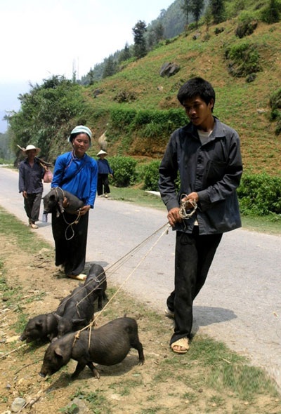 Thăm nơi đầu nguồn sông Chảy ngày đầu xuân - 17 Thăm nơi đầu nguồn sông Chảy ngày đầu xuân - 17