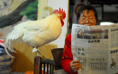 10 bức ảnh "độc" chỉ có ở Trung Quốc - 5