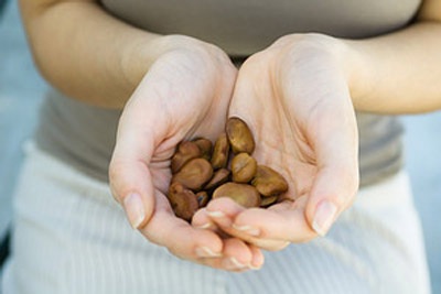 Điều kỳ diệu của đôi tay - 1