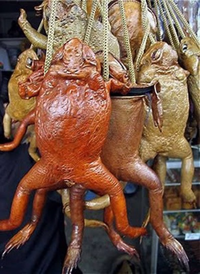 Bộ sưu tập túi xách ngộ nghĩnh - 5