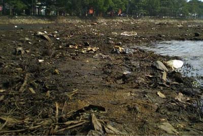 Thị trấn đẹp nhất Hà Tĩnh ngập trong rác - 11