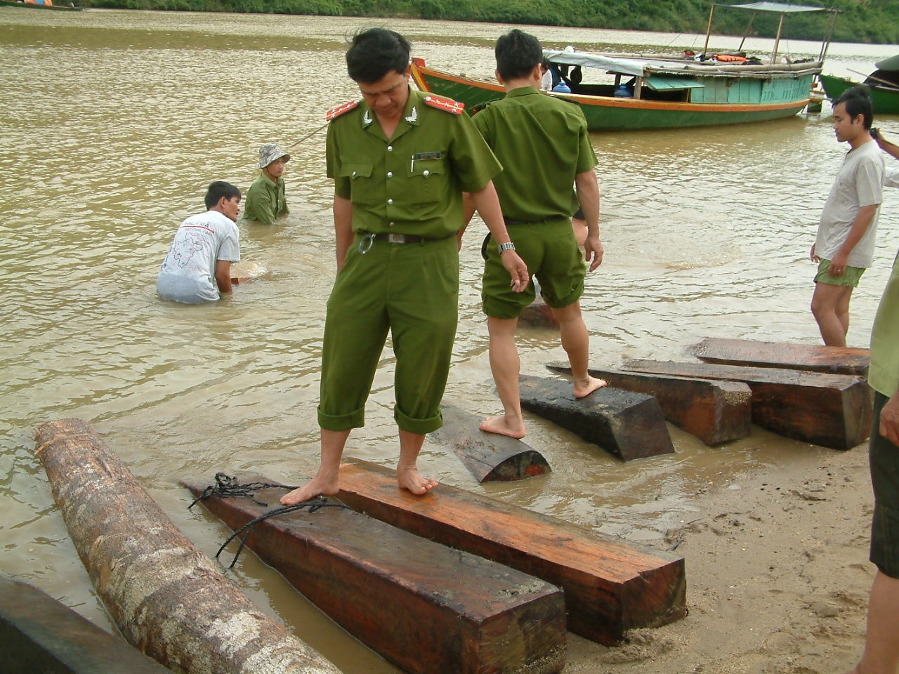 Lợi dụng thủy điện xả nước, lâm tặc tuồn gỗ về xuôi - 1