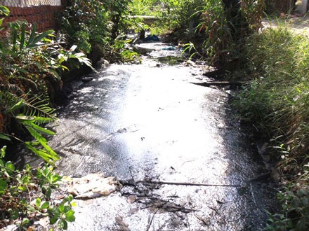 Lao đao vì muỗi như “vãi trấu” suốt ngày đêm - 2