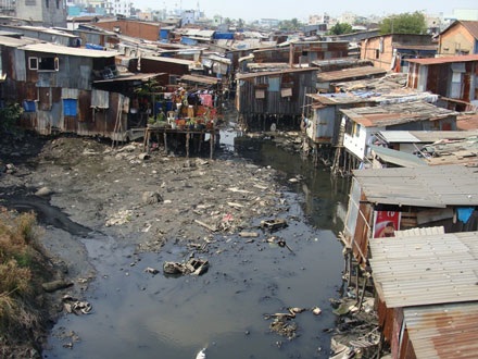 Lao đao vì muỗi như “vãi trấu” suốt ngày đêm - 1