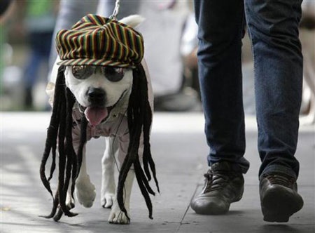 20 quốc gia hạnh phúc nhất thế giới - 12