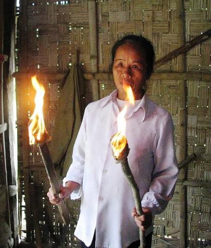 Voi rừng xuất hiện, người dân khiếp đảm  - 2