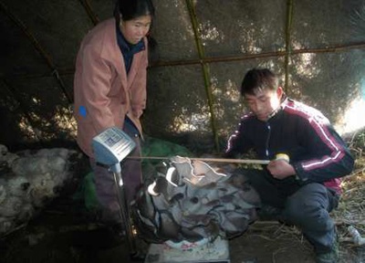 Cây nấm nặng 20kg - 2