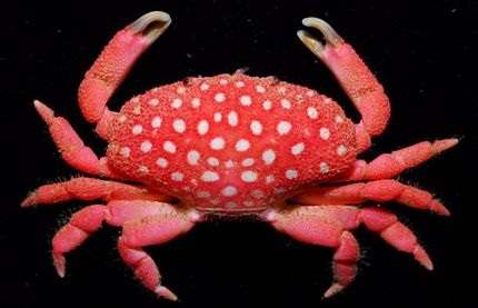 Những hình ảnh ấn tượng trong tuần - 7