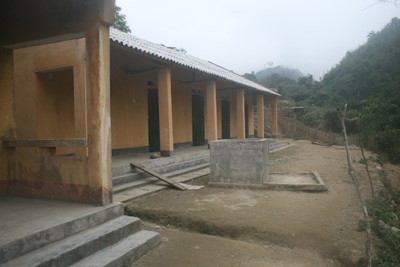 Trường học biến thành...  “vườn” rau - 3